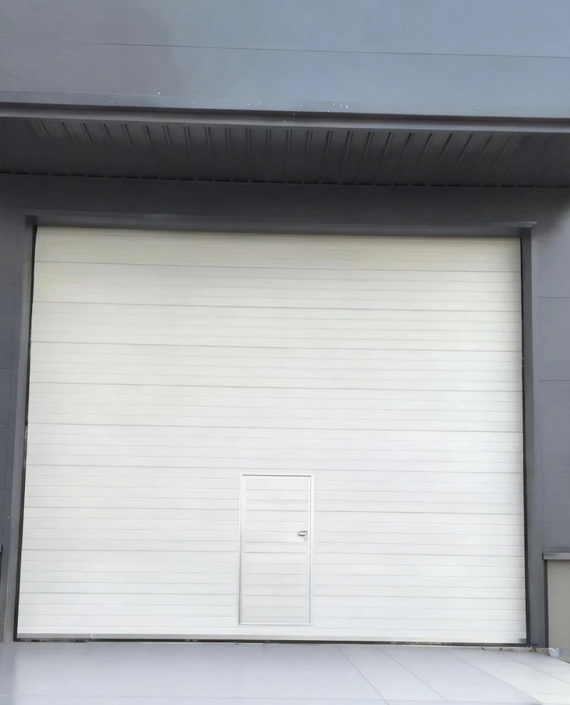 昭通市高扬程滑升门
